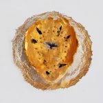 16Tova Eldad Mixed Media 2016 2 diametr12 cm height 3 cm